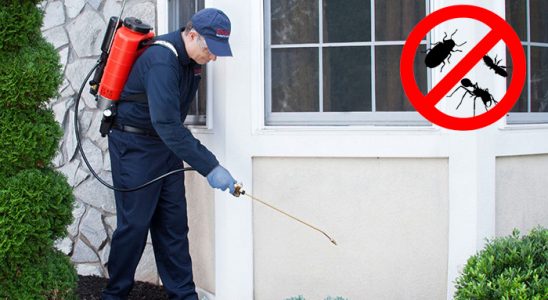 Dursunbey Böcek İlaçlama böcek ilaçlama ve haşere kontrolü — ilaclama-tr.com